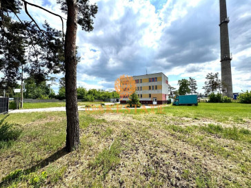 Obiekt Wynajem Sitkówka-Nowiny