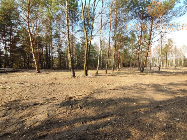 Działka Sprzedaż Skarżysko-Kamienna 1
