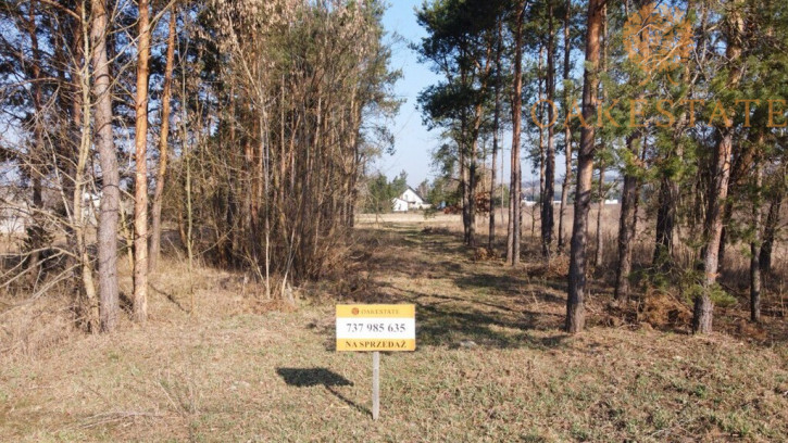 Działka Sprzedaż Sokołów Górny 1