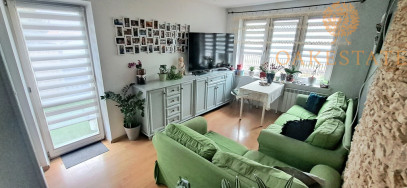 Mieszkanie Sprzedaż Zagajów