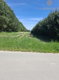 Działka Sprzedaż Motkowice