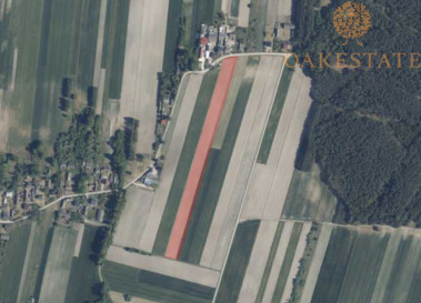 Działka Sprzedaż Chlewska Wola