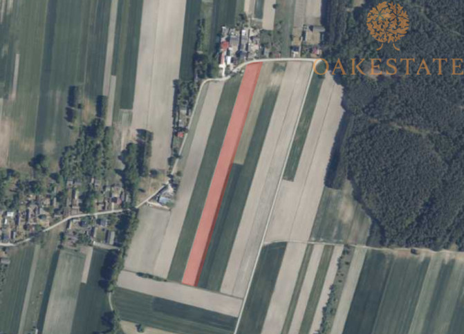 Działka Sprzedaż Chlewska Wola 4