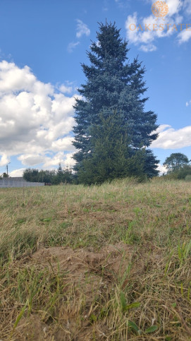 Działka Sprzedaż Radomice 12